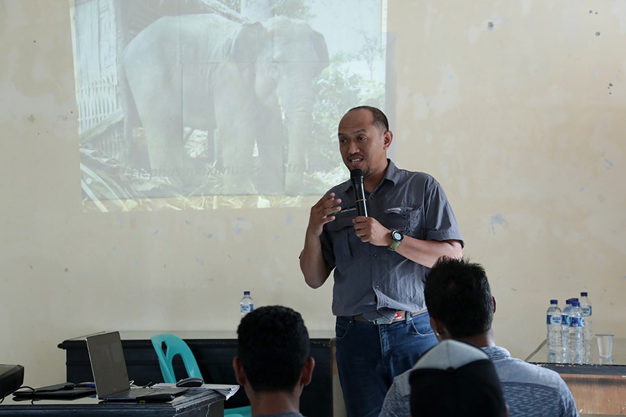 FKGI Serukan Aksi Nyata Selamatkan Habitat Gajah di Kawasan TNTN