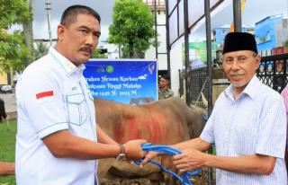 Persiapan Idul Adha 1446 H. Kajati Agoes SP Salurkan Sapi Kurban di Masjid Al- Fatah Ambon