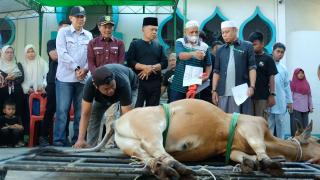 Bupati Kepulauan Meranti Serahkan Hewan Kurban dari Presiden Prabowo