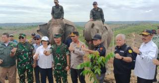 LSM Benang Merah Minta Satgas Kejar Perambah Hutan Mengatasnamakan Petani Termasuk di Konsesi HTI
