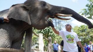 Dari Tesso Nilo, Kapolda Riau Ajak Masyarakat Selamatkan Rumah Gajah
