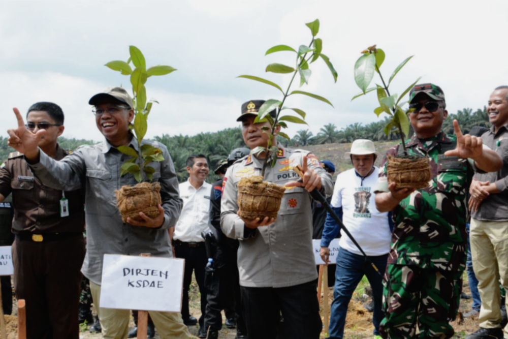301 Hektare Lahan Ilegal di Tesso Nilo Dikembalikan Fungsinya