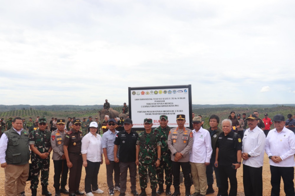 Tidak Tebang Pilih, LAM Riau Minta APH Hukum Berat Perambah Taman Nasional Tesso Nilo