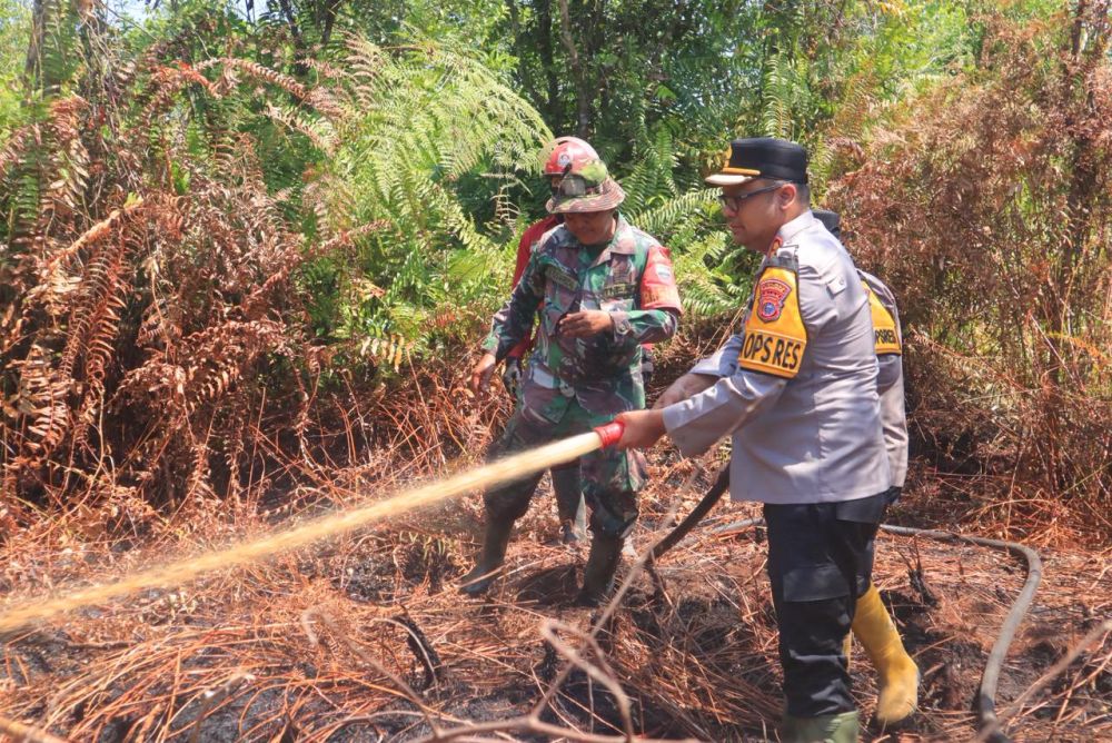 7 Hektare Lahan Gambut di Kampar Terbakar, Pemilik Masih Misteri