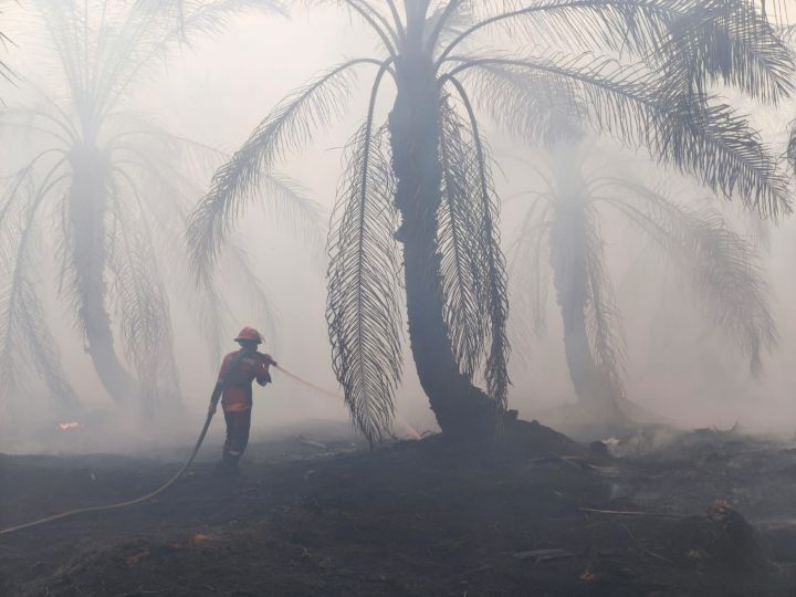 Gawat! Asap Karhutla di Riau Nyebrang ke Malaysia