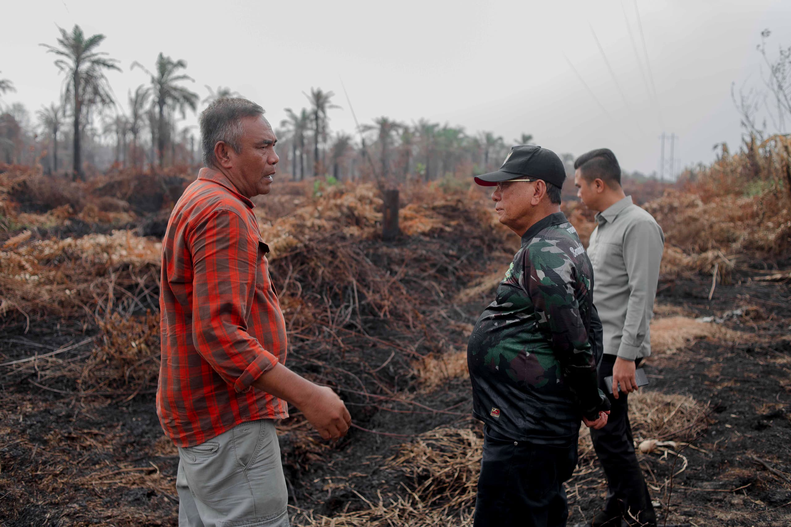 Pasca Hujan, Bupati Rohil Tinjau Lokasi Karhutla di Kecamatan Kubu