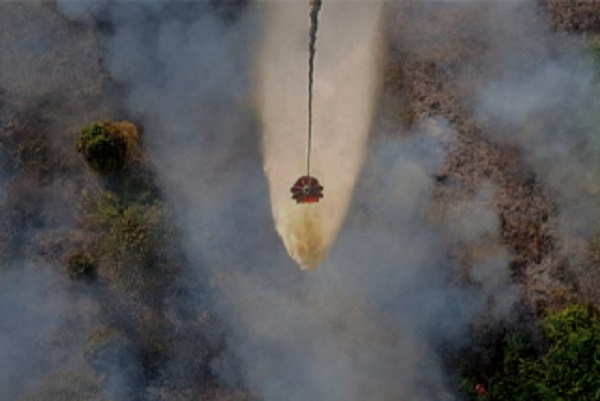 Water Bombing Jadi Senjata Andalan Padamkan Karhutla Gambut di Riau