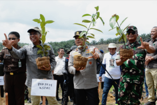 301 Hektare Lahan Ilegal di Tesso Nilo Dikembalikan Fungsinya