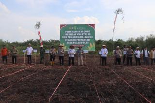 Dukung Ketahanan Pangan, Pemkab Inhil dan Polres Tanam Jagung Serentak