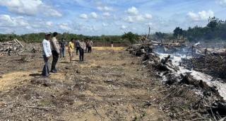 Warga Kuansing Ditangkap Polisi usai Bakar Lahan untuk Jadi Kebun Sawit