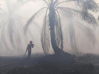 Gawat! Asap Karhutla di Riau Nyebrang ke Malaysia