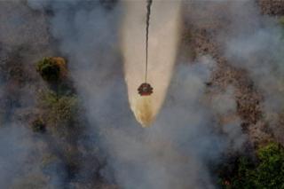 Water Bombing Jadi Senjata Andalan Padamkan Karhutla Gambut di Riau
