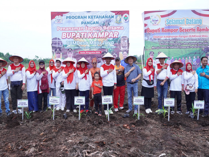 Bupati Kampar dan Walikota Payakumbuh Lakukan Penanaman Jagung di Pandau Jaya