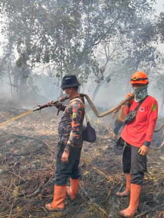 Bupati Inhil Instruksikan Kalaksa BPBD Pimpin Langsung Pemadaman ke Lokasi