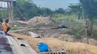 Tragis! Emak-Emak di Riau Tewas Diinjak Gajah