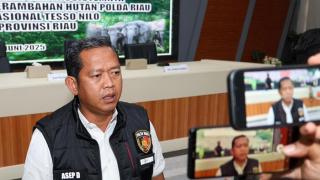 Polda Riau Tangkap 2 Transportir Pekerja Migran Ilegal dari Malaysia