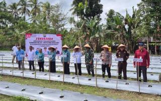 Kajari SBB Hadiri Gerakan Tanam Cabai Serempak se-Provinsi Maluku