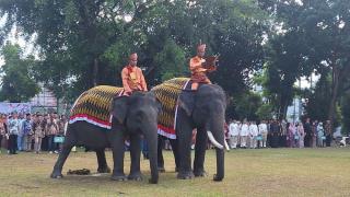 Gajah Vera dan Jopi Meriahkan Peringatan di HUT ke-80 RI di BKSDA Riau