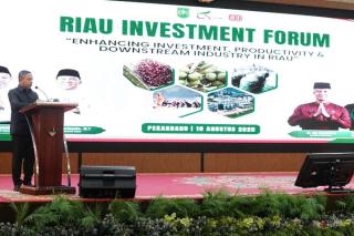 Yakinkan Investor Dunia: Gubri: Masa Depan Bisnis Ada di Riau