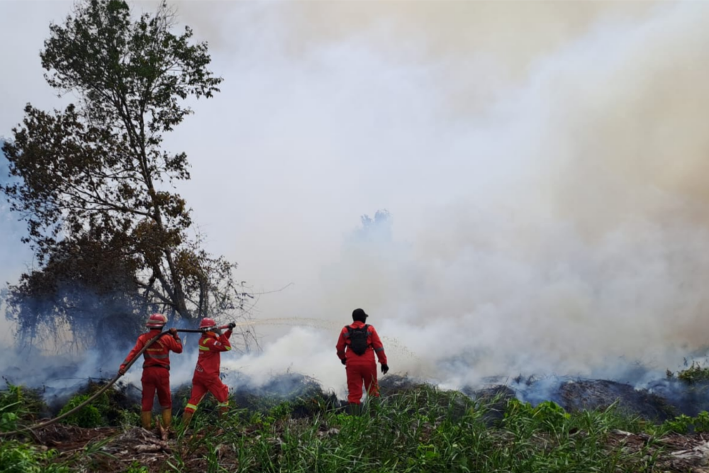Luas Karhutla Turun 11 Ribu Hektare, Kemenhut Ungkap Peran Besar Manggala Agni