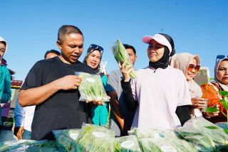 TP PKK Riau Gelar Gemar Pangan Lestari di Area CFD Pekanbaru