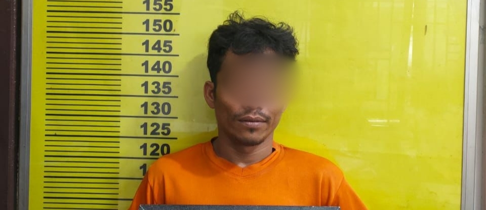 Buron Setahun Lebih, Pencuri Dana Desa Rp136 Juta di Rohil Ditangkap Saat Curi Sawit 