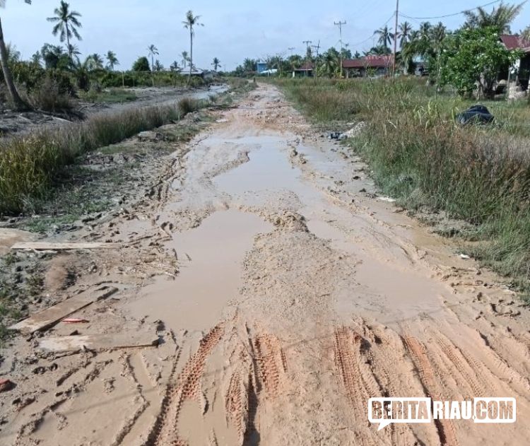 Jalan Banyak Rusak, Masyarakat Sungai Bakau Harapkan Perhatian DPRD Dapil 1