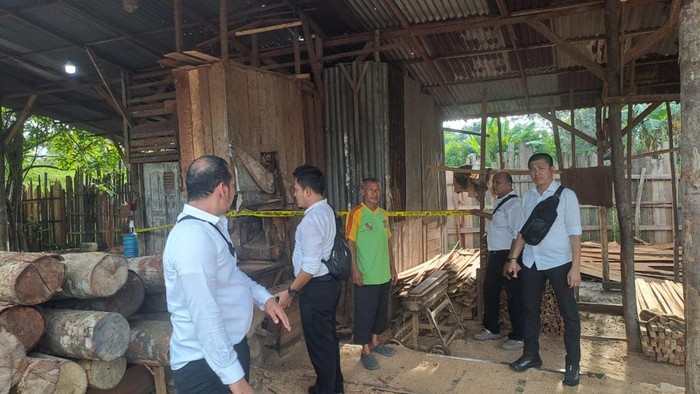 Polisi Bongkar Tempat Pengolahan Kayu Ilegal di Kampar