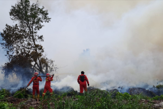 Luas Karhutla Turun 11 Ribu Hektare, Kemenhut Ungkap Peran Besar Manggala Agni