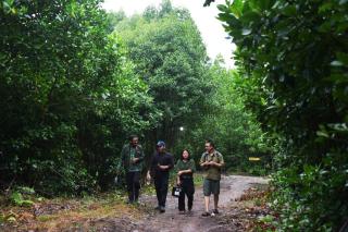 LPHD Teluk Pambang Bengkalis Gelar Wisata Unik ‘Kunang-Kunang Mangrove’