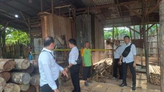 Polisi Bongkar Tempat Pengolahan Kayu Ilegal di Kampar