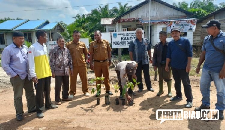 Pj Penghulu Syafri Bersama Masyarakat Menanam Pohon Matoa dan Rambutan