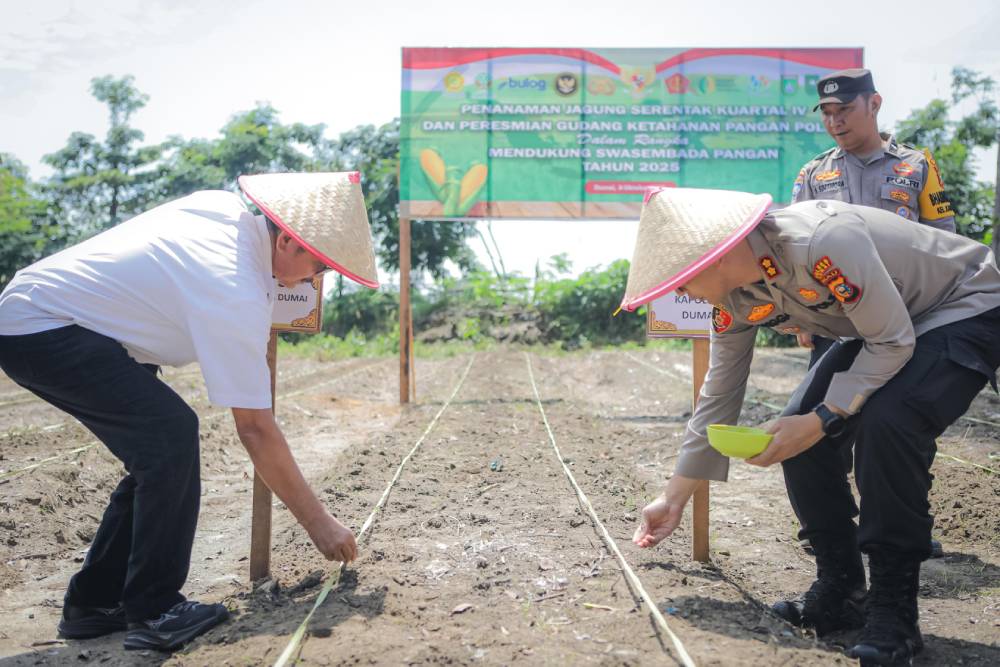 Polres dan Pemko Dumai Tanam Jagung Serentak, Dukung Ketahanan Pangan Nasional