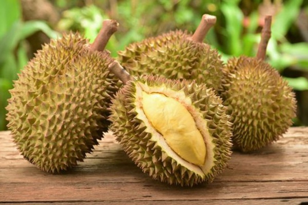 Masuk Lewat Riau dan Batam, Durian Ilegal Asal Malaysia Serbu Pasar Indonesia
