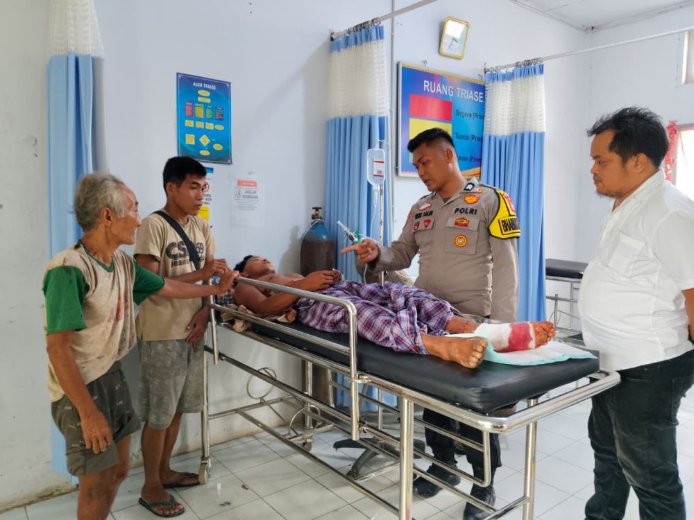 BBKSDA Duga Serangan Harimau di Inhu karena Induk Sedang Latih Anaknya Berburu