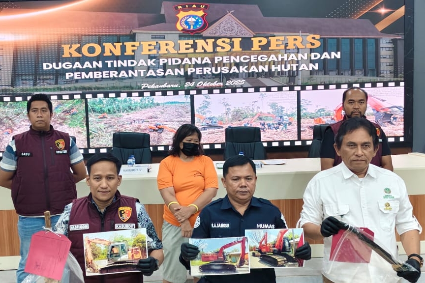 Ibu Rumah Tangga Ditangkap karena Perambah 13 Hektar Hutan Cagar Biosfer GSK