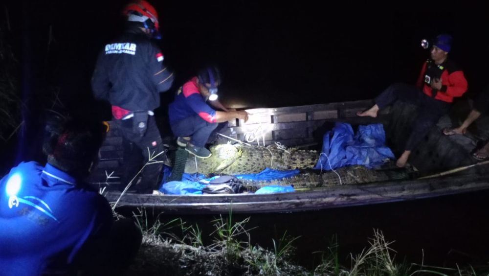 Damkar Inhil Amankan Tiga Ekor Buaya dari Sungai Indragiri