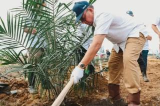 PTPN IV Regional III Riau Remajakan 949,6 Hektare Kebun Sawit untuk Tingkatkan Produktivitas