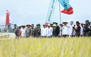 Bupati Siak Optimis Panen Padi Digital Farming Bisa Meningkat Signifikan