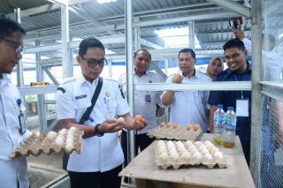 Lapas Bengkalis Dorong Kemandirian Warga Binaan Lewat Pelatihan Budidaya Ayam Petelur