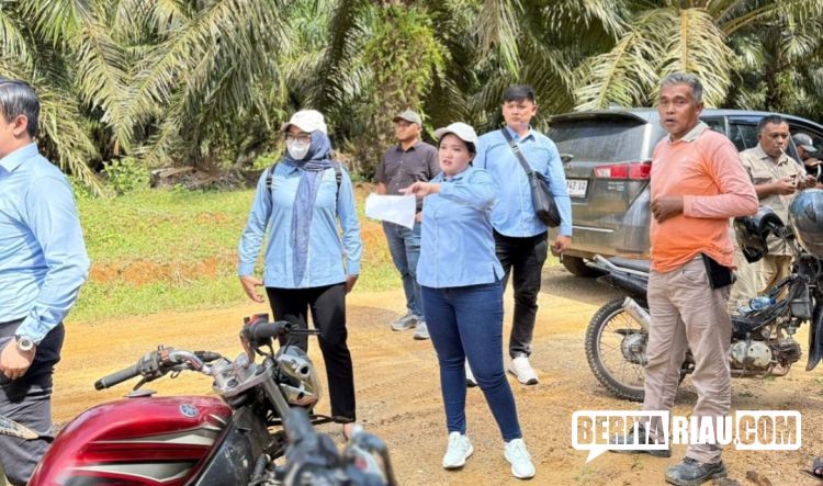 JPN Kejari Rohil Tinjau Lokasi Pengukuran Tanah HGU dari PTPN IV Regional III