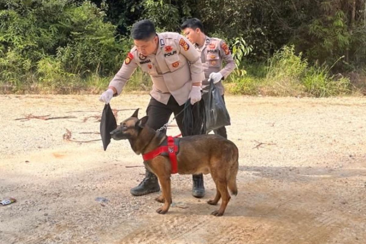 Reno, Anjing Pelacak Polda Riau, Mati Saat Tugas Kemanusiaan di Sumbar