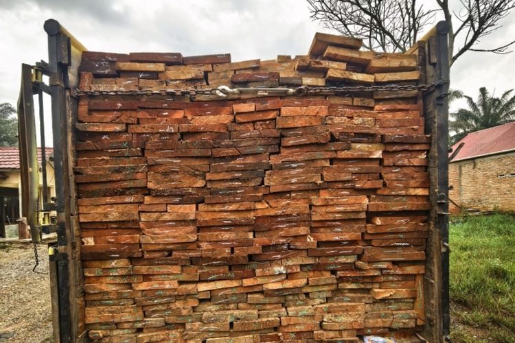 2 Pengangkut Kayu Illegal Logging Ditangkap Polisi di Riau, Dua Pelaku Lain Masih Diburu