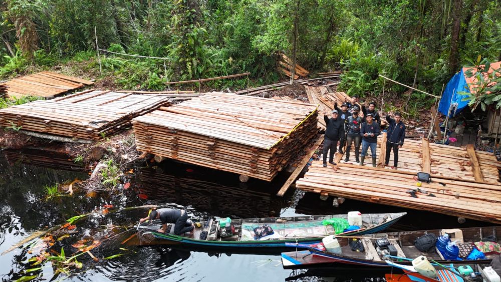 300 Kubik Kayu Ilegal Disita di Inhu, KLH: Kerusakan Hutan Setara 120 Pohon