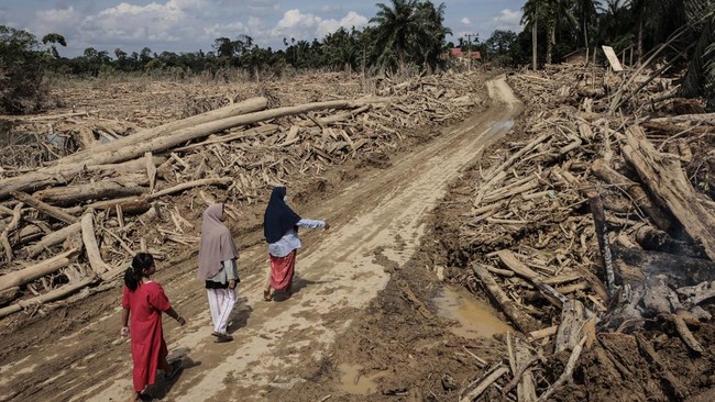 Banjir Sumatra Tewaskan 1.135 Orang, Ratusan Masih Dalam Pencarian