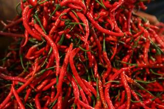 Pemprov Riau Datangkan 1 Ton Cabai Merah dari Sleman, Dijual Rp58 Ribu per Kg