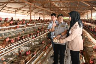 Wabup Bengkalis Dorong Kemandirian Pangan Lewat Peternakan Ayam Petelur Lokal