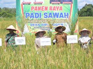 Panen Raya di Desa Sipungguk, Pemkab Kampar Perkuat Ketahanan Pangan Daerah