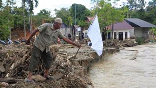 Korban Banjir-Longsor di Sumatera Capai 1.137 Orang, 163 Masih Hilang