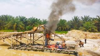 Rekor Penegakan Hukum Lingkungan, Polda Riau Musnahkan 772 Rakit PETI Sepanjang 2025
